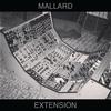 Flight Forum - Mallard