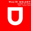 Learn To Love (Original Mix) - WaltR Melody&Cezar Loan