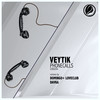 Phonecalls (Domingo + Loveclub Remix) - Veytik&Loveclub&Domingo +