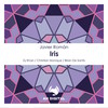 Iris (Zy Khan Remix) - Javier Roman&Zy Khan