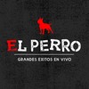 Te Amo (En Vivo) - El Perro