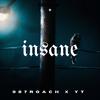 Insane(feat. YT900) (Explicit) - 087Roach&YT900