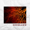 Hoodland - 龚铭瀚&龙泽宇