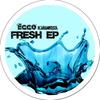 Fresh (Funky Dub Remix) - Ecco