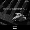 Bunga (Original Mix) - 10PO