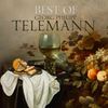 II. Allegro - Hille Perl&Freiburger Barockorchester&Georg Philipp Telemann&Han Tol