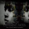 Different Fates (Gustavo Bravetti Live Remix) - Zakir