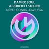 Never Gonna Leave You - Damier Soul&Roberto Stecini