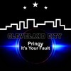 It's Your Fault - Pringy