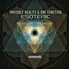 Esoteric - Invisible Reality&One Function