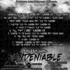 Undeniable Intro - Flip Tha Yungeen&Yungeen Ace&Trigga Romo