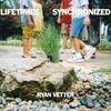 LIFETIMES SYNCHRONIZED - Ryan Vetter