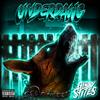 UNDERDAWG (Explicit) - Gibby Stites