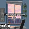 She Wonders Why (Explicit) - KdotKree&Shiloh