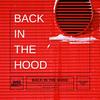 Back in the hood - Javier Anxiety