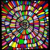 Cosmic Insects - Olivia Smith&