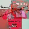Amapiano Sounds of Sgija mix (feat. Deeper Phil, Mdu a.k.a TRP & Visca) - Maharaj_Right&Deeper Phil&Mdu a.k.a TRP&Visca