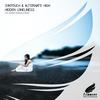 Hidden Loneliness (George Crossfield Remix) - Syntouch&Alternate High
