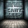 Can't Keep - Doc Link&Sean Biddle