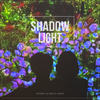 Shadow, light - Sunkiss&위시