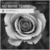 No More Tears - Funkerwell