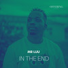 In the End - Mr Luu