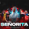 Señorita (feat. Javy Dolche, FVBIIAN, Yasek RB & Mau La Sensa) (Remix) - Daario L' Ogrrro&Javy Dolche&FVBIIAN&Yasek RB&Mau La Sensa