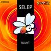 Blunt (Original Mix) - Selep