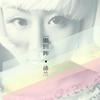 逐梦青春 - 司文&盛兰