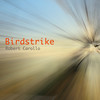 Birdstrike - Robert Carollo