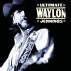 Rainy Day Woman - Waylon Jennings