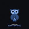 Electric Owl - Bones Noize