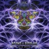 Dual Vision - Atomo&Bipolar