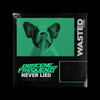 Never Lied - Obscene Frequenzy