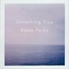 Fallen Lights - Adam Foley