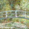 Waterlily - KIMMERLY