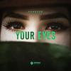 Your Eyes - Echover