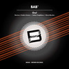 Owl (Robbo Fitzgibbons Instrumental Remix) - Bab'&Robbo Fitzgibbons