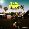Suh We Dweet (Explicit) - Dane Ray&Waldane Hampton