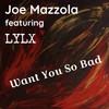 Want You So Bad (extended) - Joe Mazzola&lylx