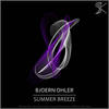 Summer Breeze (Jorge Araujo & Alemaozuk Remix) - Bjoern Ohler&Jorge Araujo&Alemaozuk