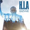 Hands in the Air(HIA) - Sizwe C