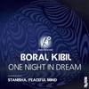 One Night In Dream - Boral Kibil