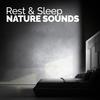 Wood Birds - Rest&Relax Nature Sounds Artists