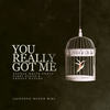 You Really Got Me (Acoustic Rough Mix) - George White Group&Nikki Ocean&Groovy Waters