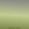 Turnips Dambose - Ayee