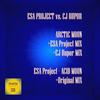 Arctic Moon (CJ Rupor Mix) - Esa Project&CJ Rupor