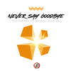 Never Say Goodbye (Caribbean Flava) - Fred Jean-Baptiste&Laurie Jam