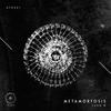 Metamorfosis (Original Mix) - Juan M