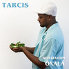 Intro - Tarcis